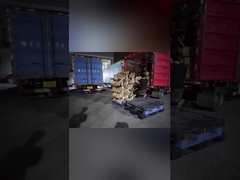 بارگیری صادرات